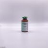 CEFTAZIDIMA AMPOLLA 1 GR X 1 I V I M VITALIS