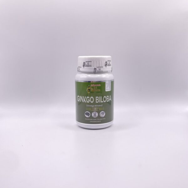 GINKGO BILOBA 500MG X 70 CAP LA ABEJITA