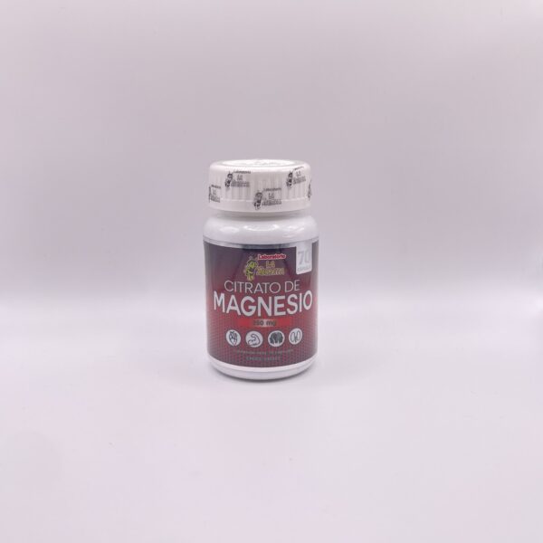 GLICINATO MAGNESIO 500MG X 70 CAP LA ABEJITA